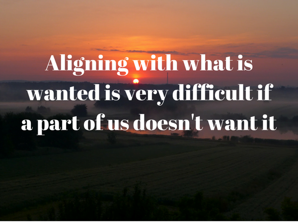 Podcast #116: Law of Attraction: How is the Unwanted in Your Life Serving You?