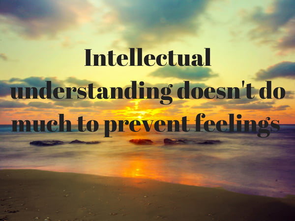 Podcast #133: Law of Attraction: Something Every Conscious Creator Must Make Peace With