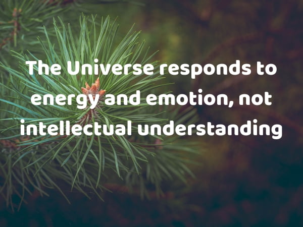 Podcast #134: Law of Attraction: If You Can’t Do This, The Teaching Is Useless to You